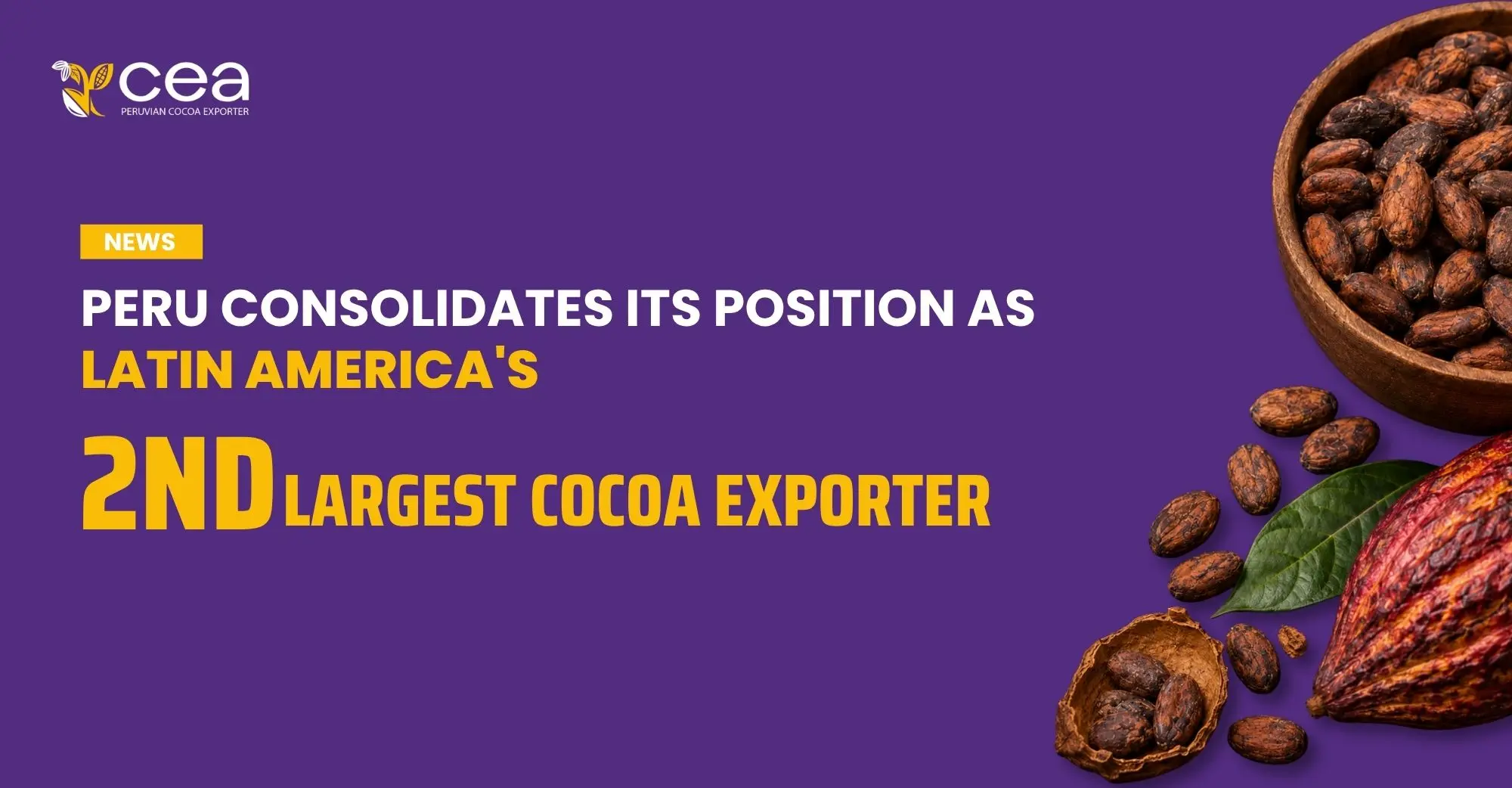 CEA at the International Cocoa and Chocolate Show 2026