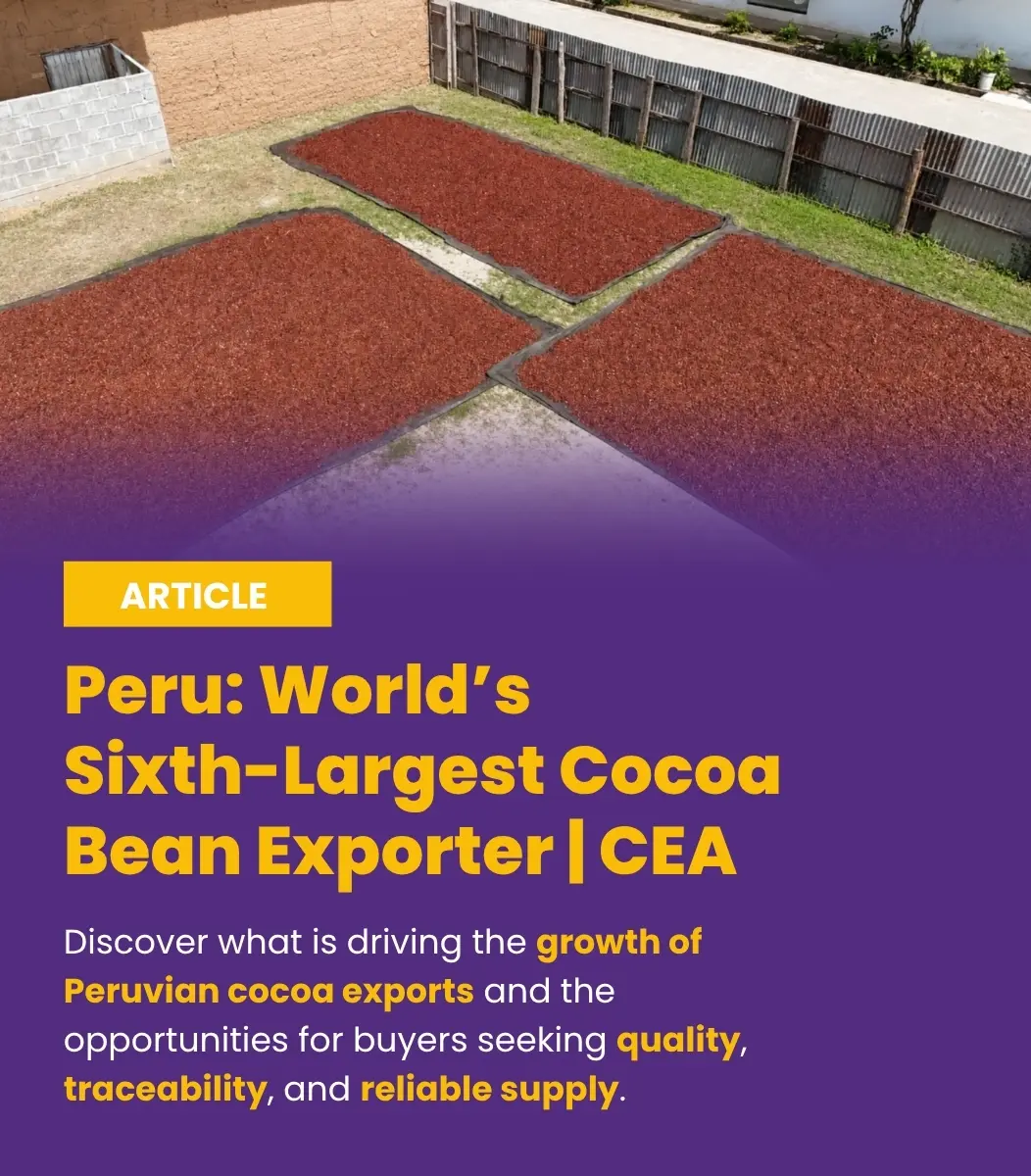 Peru is the world's sixth-largest cocoa bean exporter