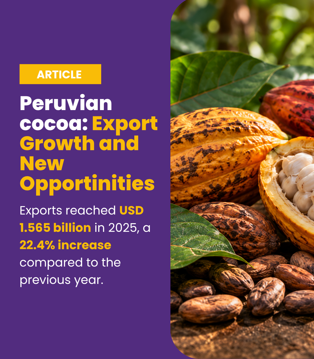 Peruvian Cacao: Export Growth and New Opportunities in the International Market