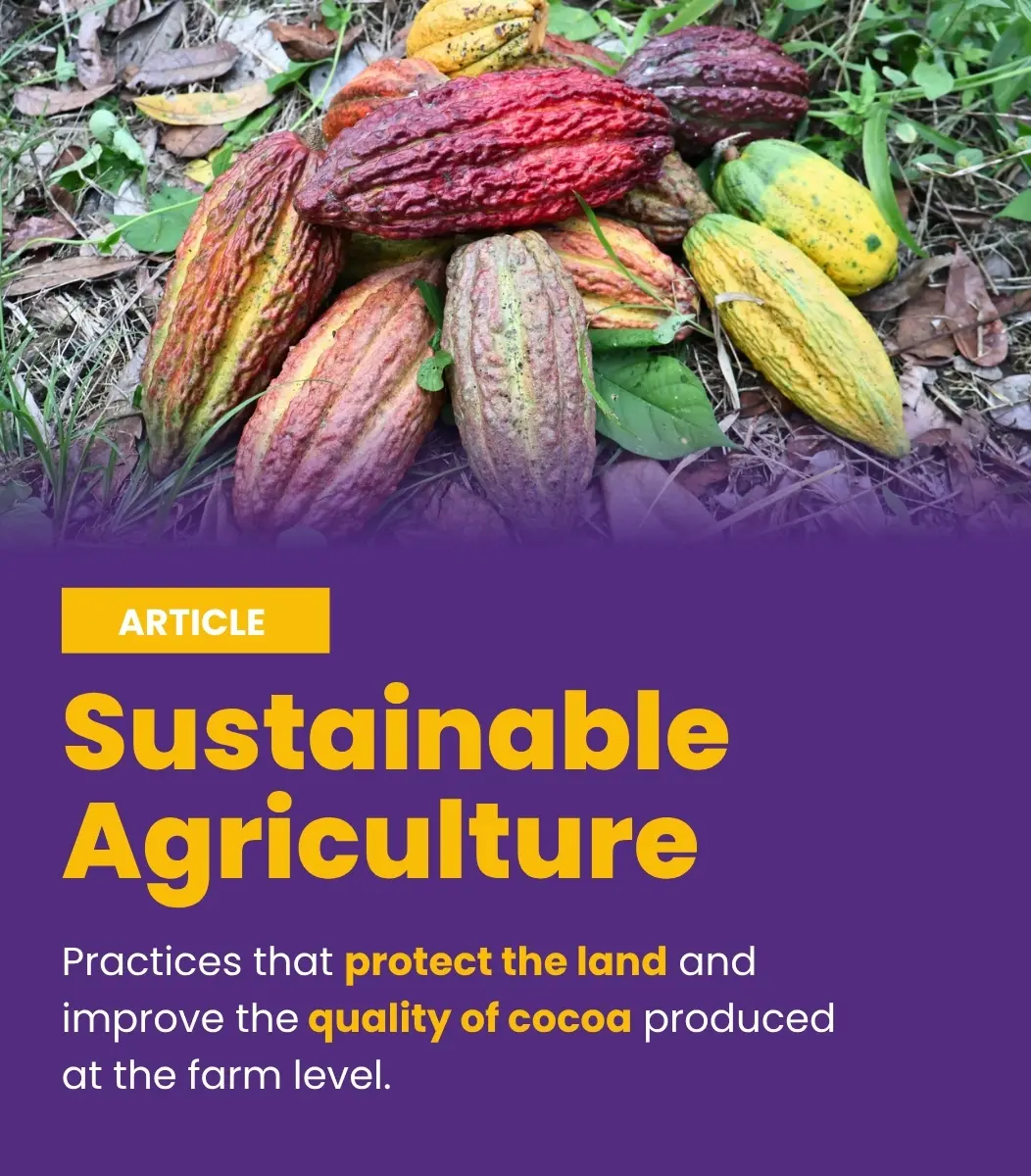 Sustainable Agriculture