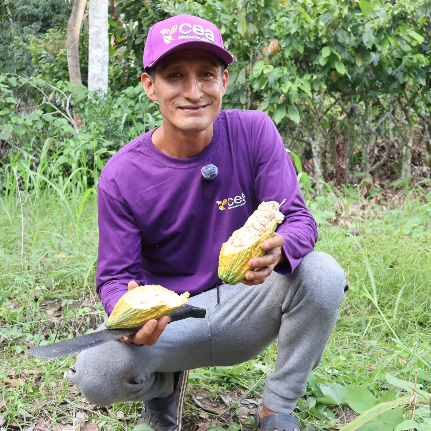 Peruvian farmer drying cocoa beans